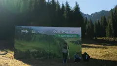 На Кок-Жайлау высадили около 2000 елей Шренка