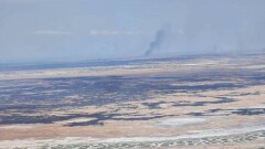 На 150 гектарах горит камыш в Иле-Балхашском резервате в Алматинской области