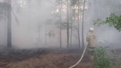 Лесные пожары в Абайской области: тушение продолжают на пяти участках