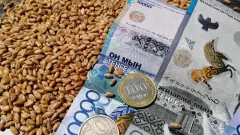 Пшеница подешевела на казахстанской бирже