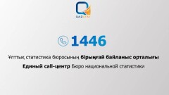 Контакт-центр по вопросам статистики запустили в Казахстане
