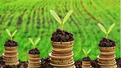 Более 340 млрд тенге субсидий задолжало государство казахстанским аграриям