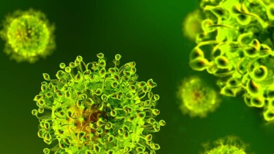 Учёные США выдвинули новую версию о происхождении Covid-19