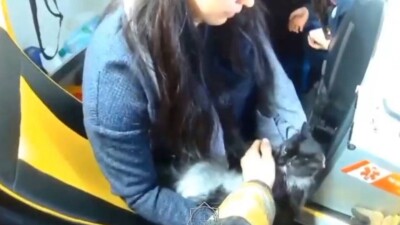 В Актобе спасатели реанимировали кошку, пострадавшую в пожаре