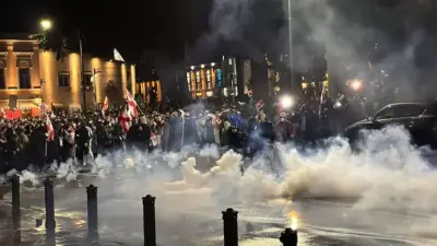 В Тбилиси оппозиция штурмовала президентский дворец в день местных выборов