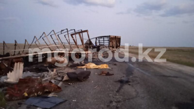 Два человека и 39 лошадей погибли в ДТП с участием большегрузов в ЗКО