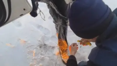 Разрезали штанины ножницами: автомобиль с четырьмя рыбаками провалился под лёд в Павлодарской области