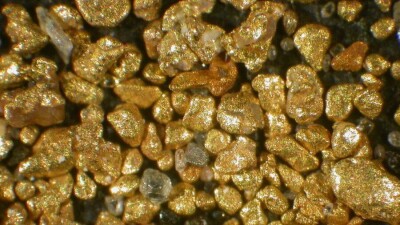 Пограничники не дали вывезти из Казахстана золотые слитки