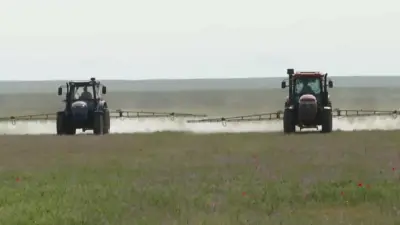 66% площадей уже обработали от саранчи в Казахстане