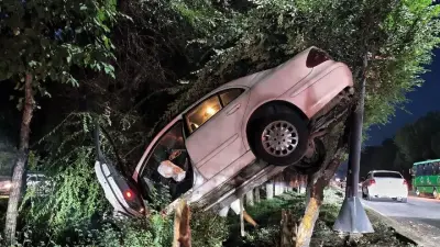 В Алматы после ДТП легковушка повисла между деревом и столбом освещения