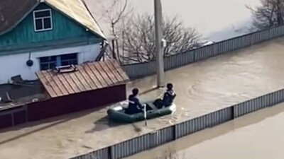 В Кокшетау полицейские спасли собаку из затопленного дачного общества