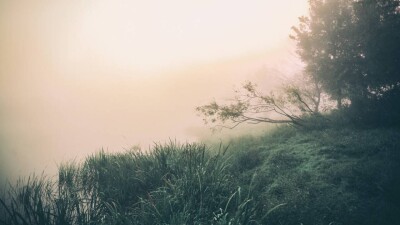 Жителям Алматы, Шымкента и Атырау посоветовали меньше гулять в эти выходные