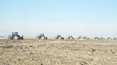 Осеннюю посадку саксаула начали на осушенном дне Аральского моря