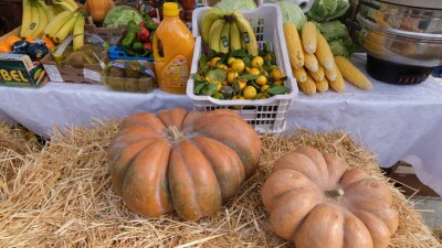 В Алматы проходит международный гастрофестиваль 