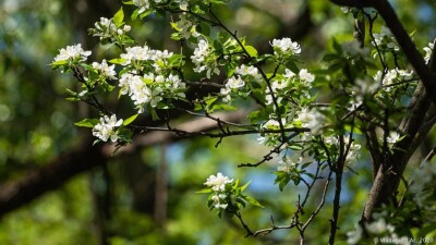 То жара, то заморозки: какой будет погода в мае