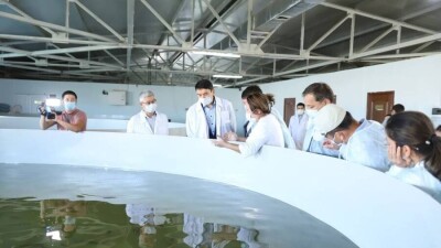 В Мангистауской области к 2030 году планируют производить 100 тысяч тонн рыбы