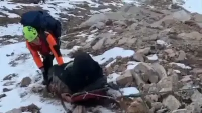 Спускали пять часов: пострадавшего в горах Алматы бельгийца эвакуировали спасатели МЧС