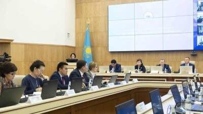 Гражданка Польши хочет баллотироваться кандидатом в президенты Казахстана