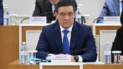 Как изменится Конституция РК с появлением вице-президента и Народного Совета, рассказал помощник главы государства