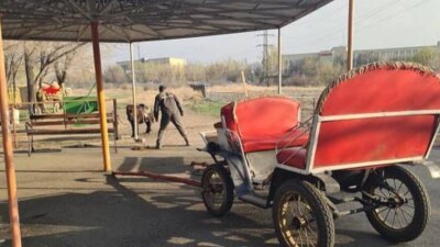 В зоопарке Караганды испуганный конь забежал в беседку с людьми, четыре человека получили травмы