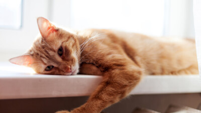 В Алматы ожидаемое похолодание не повлияет на температурный режим в жилых домах