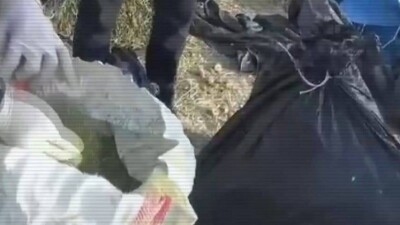 100 кг марихуаны нашли под сеном в Жамбылской области