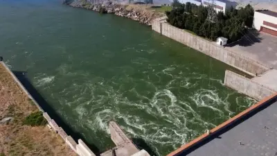 Разработка Национальной информационной системы водных ресурсов: четыре модуля работают в пилотном режиме