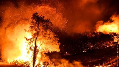 Эрдоган объявил районы лесных пожаров в пяти провинциях Турции зонами бедствия