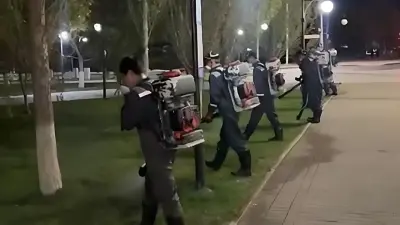 В Астане начался третий тур дезинсекционных работ против комаров: где идёт обработка