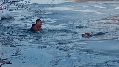 В Петропавловске спасатели вытащили собаку из ледяной воды Ишима