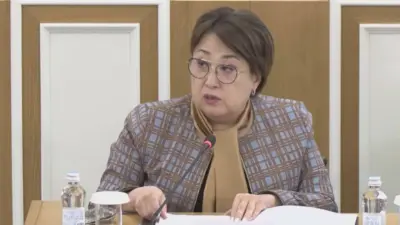 Сенатор предложила адаптировать текст новой Конституции под формат Брайля