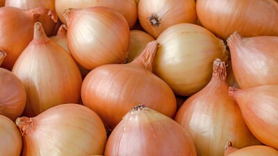 "Не смогли продать". Что собирается делать Минсельхоз с перепроизводством лука в Казахстане