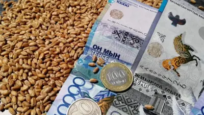 В Казахстане продлили меры господдержки производителей и экспортёров зерна – Минсельхоз