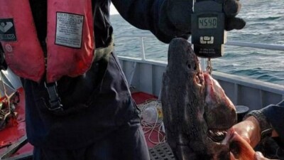 20 километров рыболовных сетей. Как борются с браконьерами на Каспии
