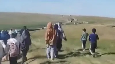 Почему гостям фестиваля тюльпанов в Жамбылской области пришлось идти пешком по жаре, объяснили в акимате