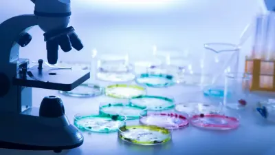 Опасно ли захоронение сибирской язвы в Алматинской области? Ответ акимата