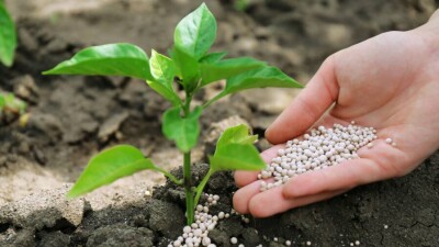 Мировые цены на удобрения выросли на 100 долларов за неделю