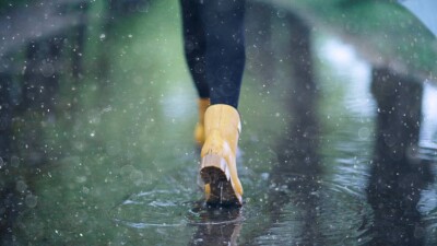 Снега больше нет. Казгидромет представил заключительный гидропрогноз