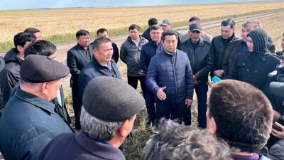 Новый глава Минсельхоза встретился с аграриями Акмолинской области, где из-за дождей не могут убрать урожай