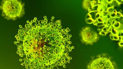 В Казахстане за сутки зарегистрировали 156 случаев заражения коронавирусом