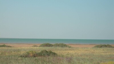 Родственники инспекторов содержали своих лошадей в Коргалжынском заповеднике