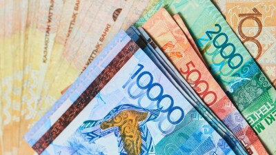 В бюджете Казахстана не хватает 124 млрд тенге на субсидии фермерам