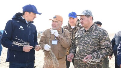 При поддержке КазМунайГаза на высохшем дне Аральского моря высадят более 4,4 млн саженцев саксаула