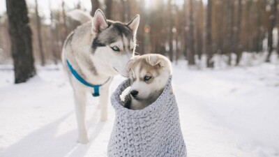 Почти без осадков: о погоде в мегаполисах на ближайшие три дня рассказал Казгидромет