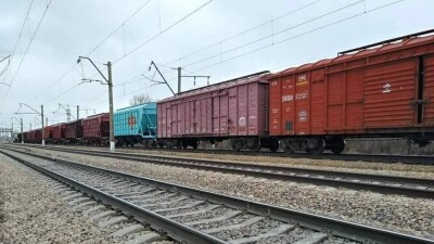 Корм для скота в Мангистаускую область будут поставлять по льготным тарифам с 20 сентября по 31 октября