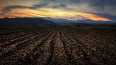 Более 27 млн гектаров пастбищ в Казахстане имеют крайнюю степень деградации