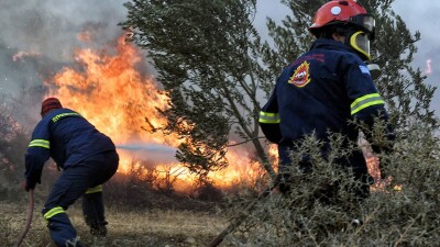 В Греции снова горит лес, людей эвакуируют
