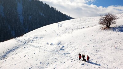 МЧС предлагает привлекать к ответственности туристов, которых приходится искать спасателям