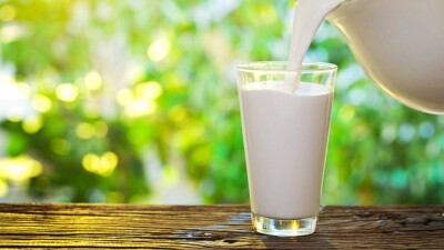 Молоко, которого нет: в Шымкенте предприниматель обманул государство и попал под суд