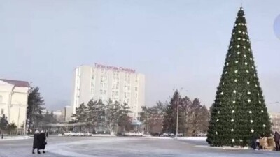 Ёлки за 23 миллиона: акимат Семея объяснил цену